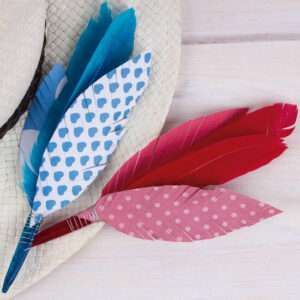 Plumas Indio Colores Surtidos APLI