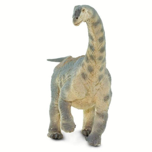 Camarasaurus Safari LTD